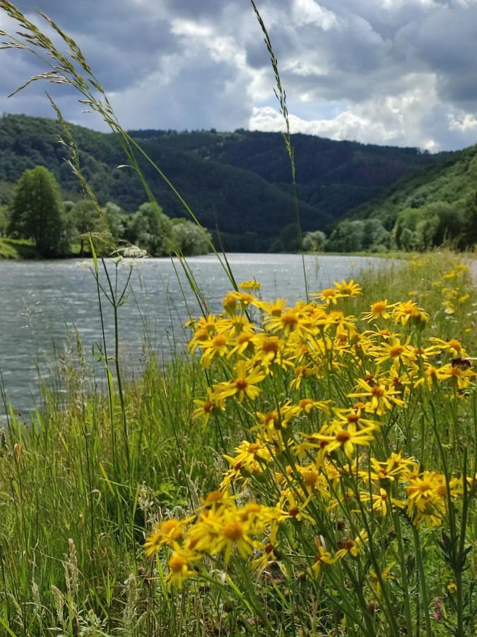 Entre Meuse Et Foret Revin  Eksteriør bilde