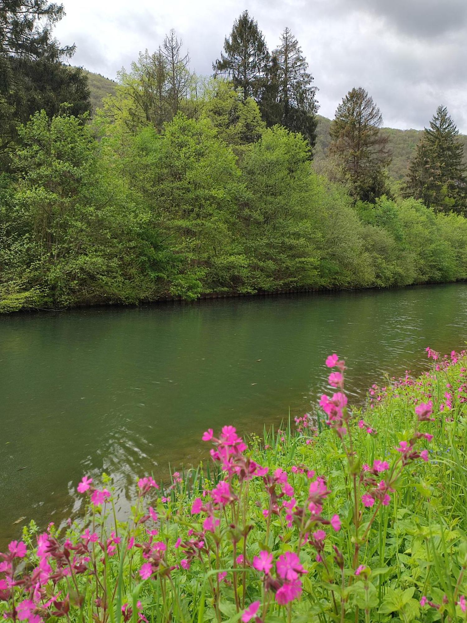 Entre Meuse Et Foret Revin  Eksteriør bilde