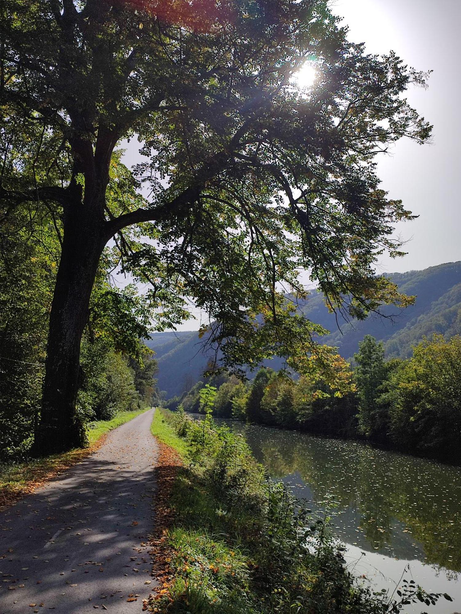 Entre Meuse Et Foret Revin  Eksteriør bilde
